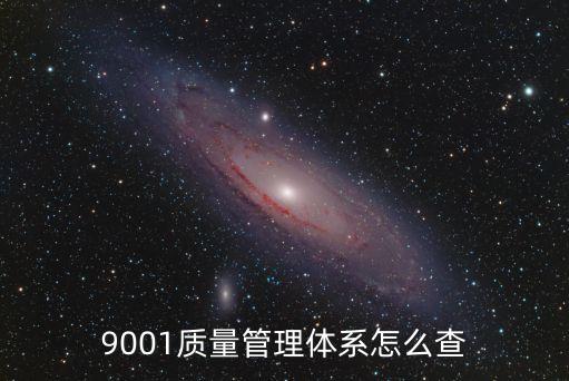 9001質量管理體系怎么查