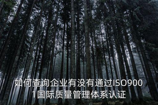 如何查詢企業(yè)有沒有通過ISO9001國(guó)際質(zhì)量管理體系認(rèn)證