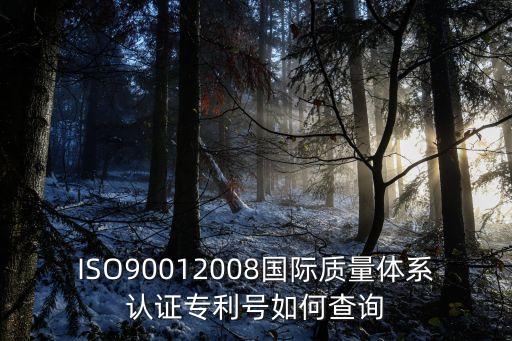 ISO90012008國際質(zhì)量體系認(rèn)證專利號(hào)如何查詢