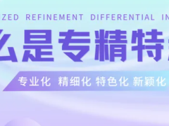 2024年北京市專精特新認(rèn)定申報(bào)