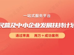 2024年深圳市民營及中小企業(yè)發(fā)展項目扶持計劃申報條件