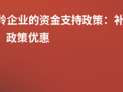 瞪羚企業(yè)的資金支持政策:補(bǔ)貼金額、政策優(yōu)惠