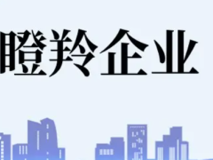 佛山瞪羚企業(yè)認(rèn)定條件、扶持政策最高補(bǔ)貼100萬