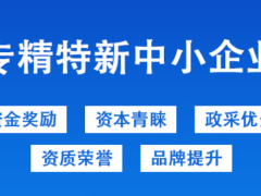 2024河南省專精特新中小企業(yè)認定標(biāo)準及獎補政策